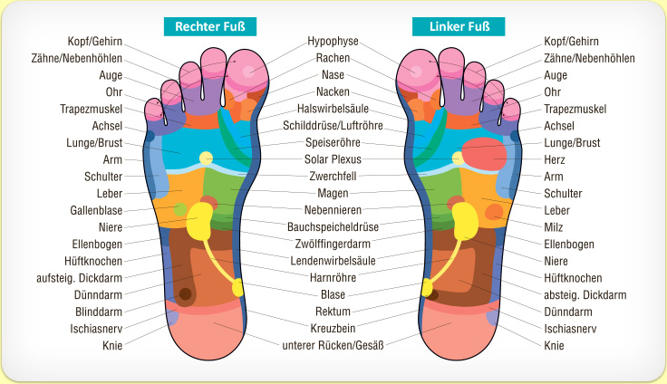 Fuss Reflexzonen