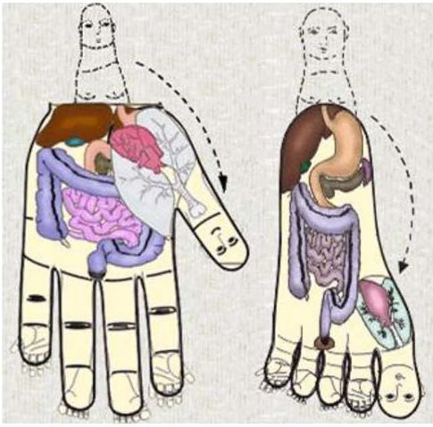 Su Jok Therapie